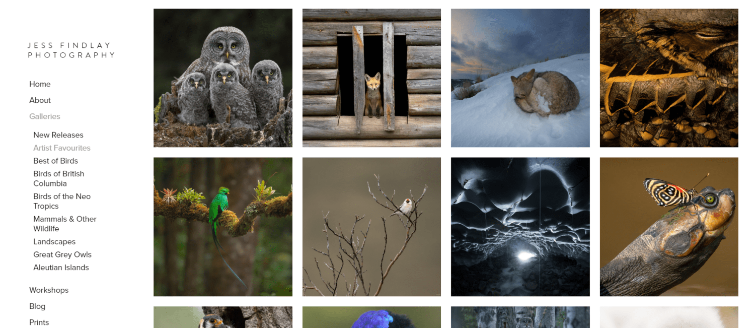 Image: One of the photographers whose work I view over and over again is Jess Findlay. While he and...