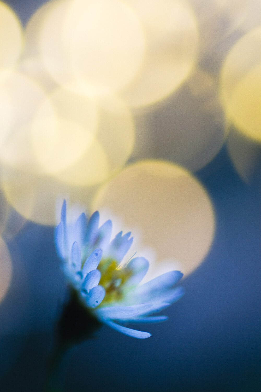 create-more-artistic-photos-fast